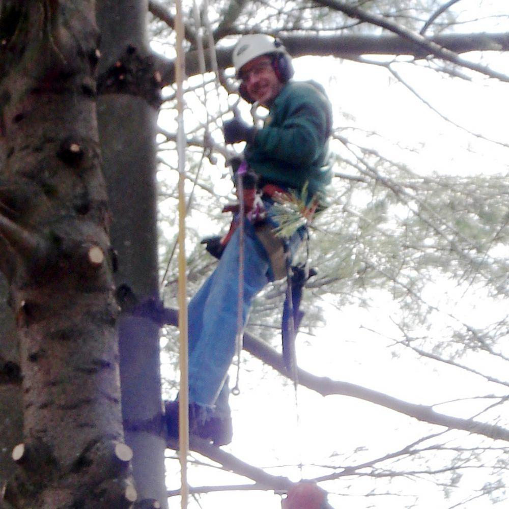 UP-IN-A-TREE-6